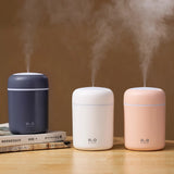 Portable 300ml Humidifier